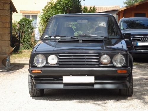 SAM_6985 (500x375).jpg