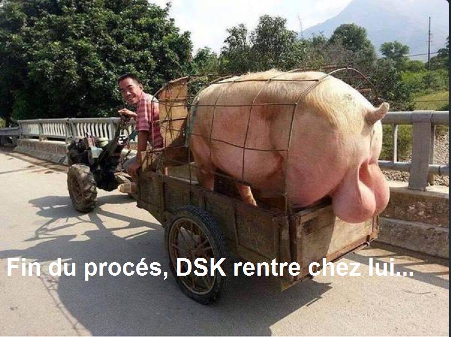 DSK.jpg