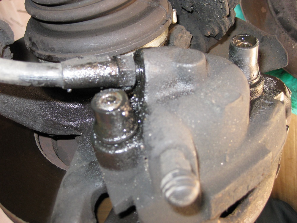 IMG_3342 - Copie.JPG