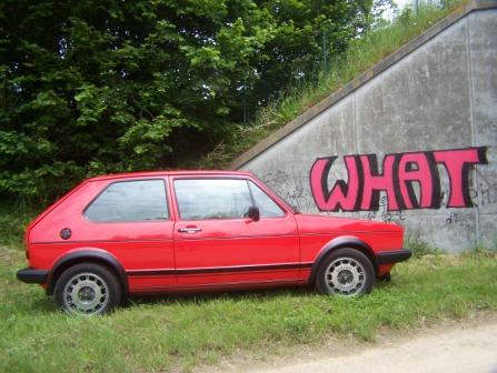 100_9245.JPG