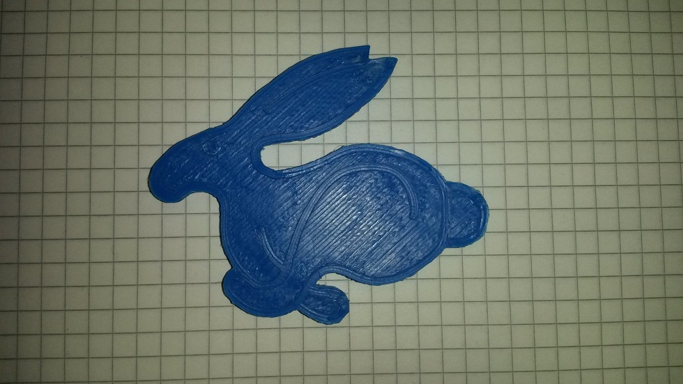 Rabbit_001