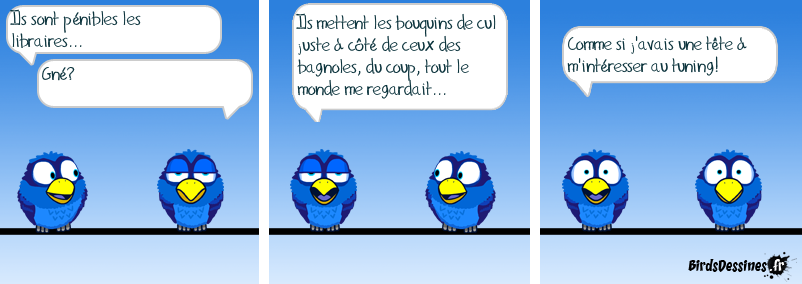 Birdsdessinées3.png