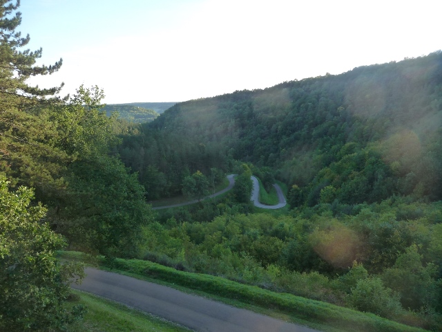 P1190123.JPG