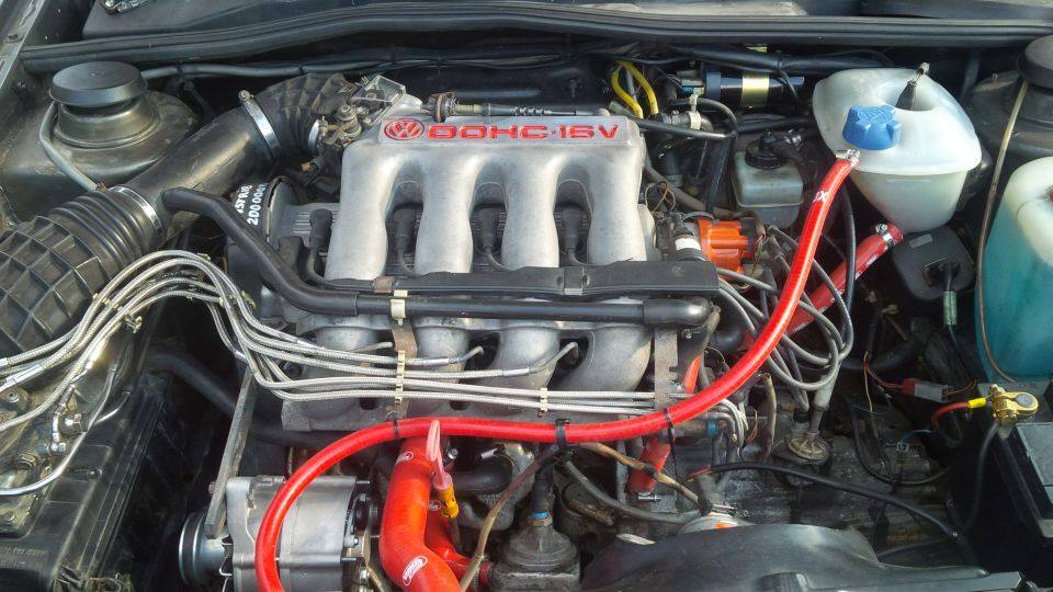 11705282_10206039935971038_7875469652268255163_n.jpg
