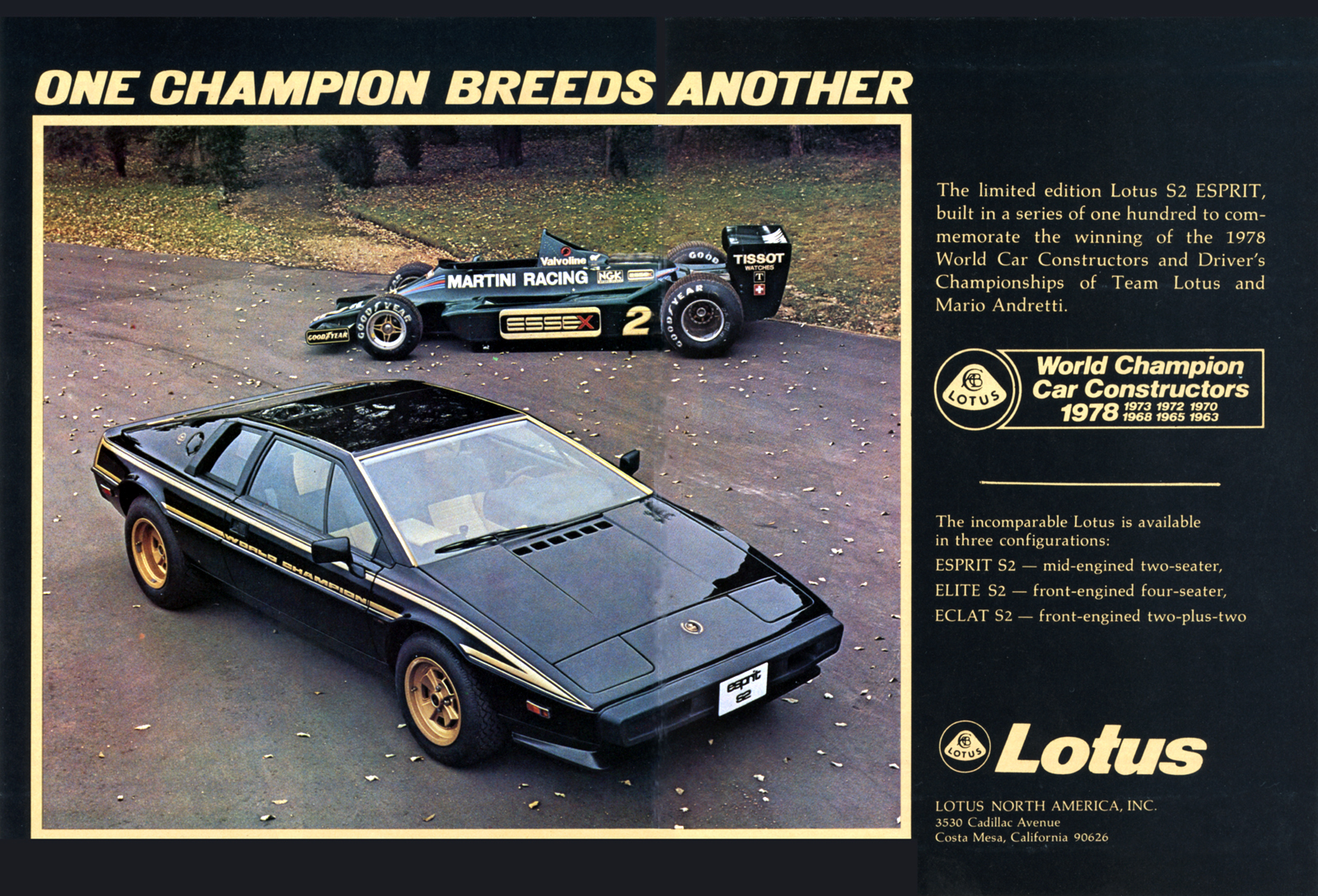 Ad%20RT%201979.jpg