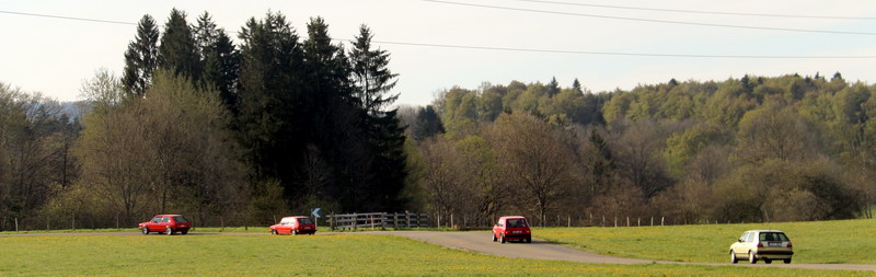 02 Du rouge dans la verdure.JPG