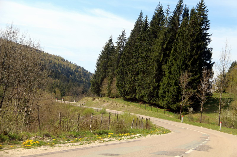 02 Déjà perdus.JPG