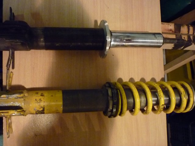 P1000020.JPG