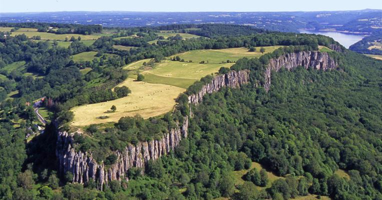 Les orgues
