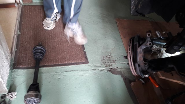 20180825_095846.jpg