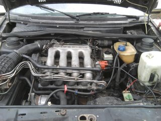 Photo0231.jpg