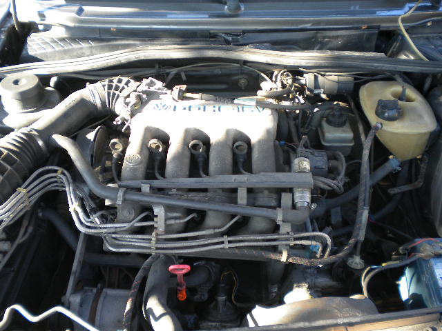 DSCN1129.JPG