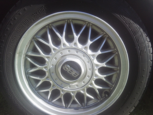 SNC00408.gif