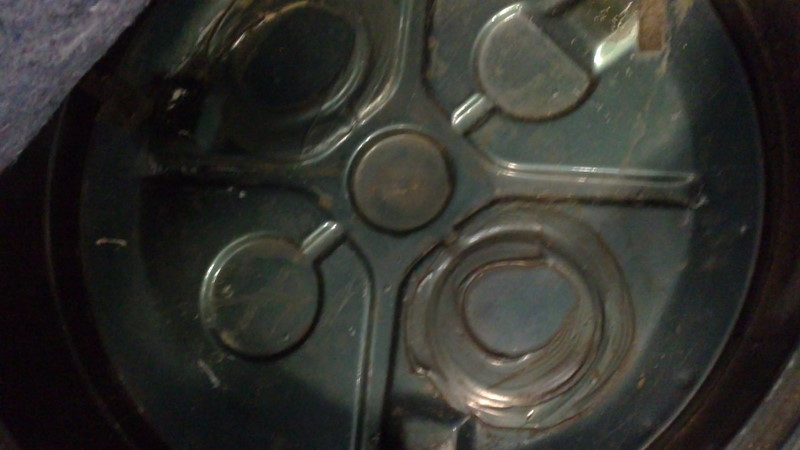 08032011068.JPG