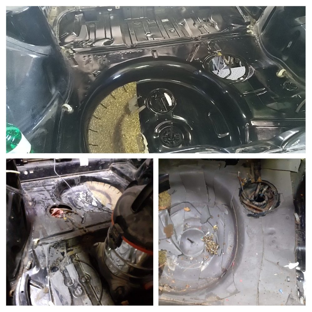 20210913_225412-COLLAGE.jpg