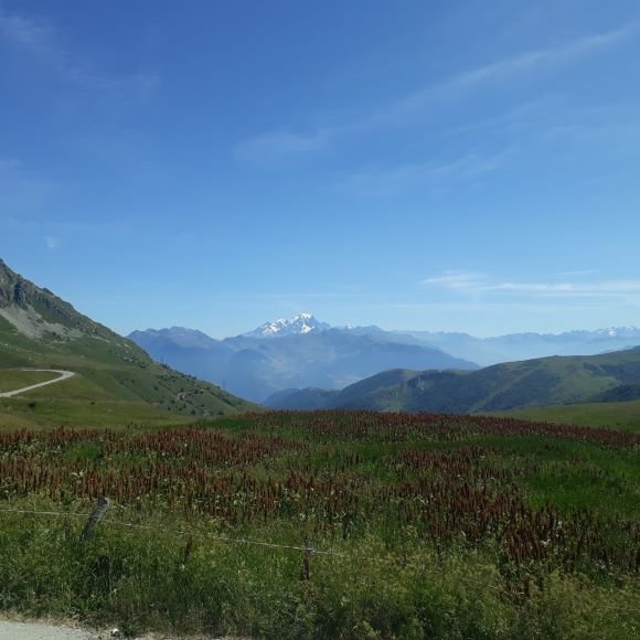 R3 col de la madelaine 2022.jpg