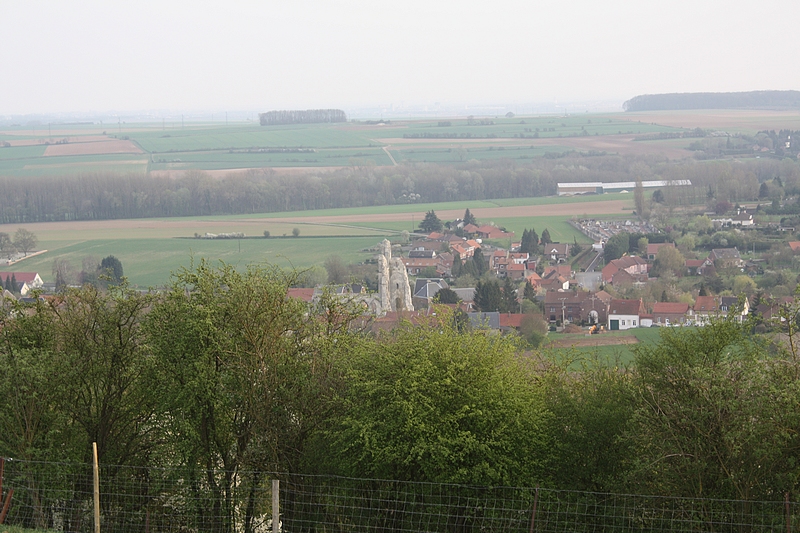 IMG_4212.jpg