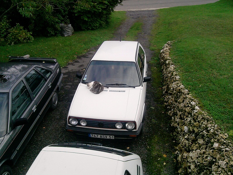 P021010_15.46.jpg