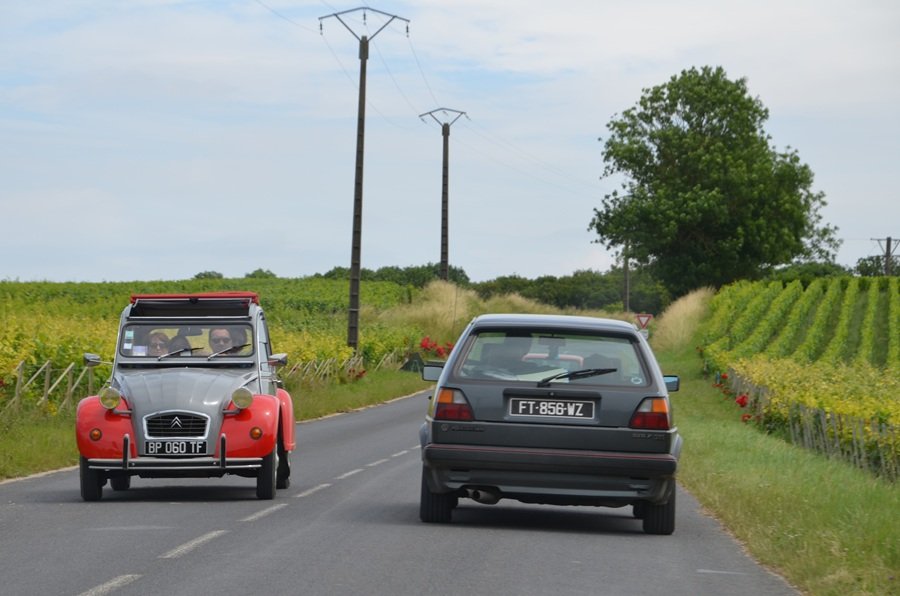 DSC_0175.JPG