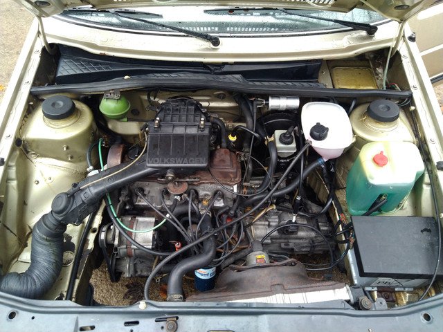 IMG-20241205-142343.jpg