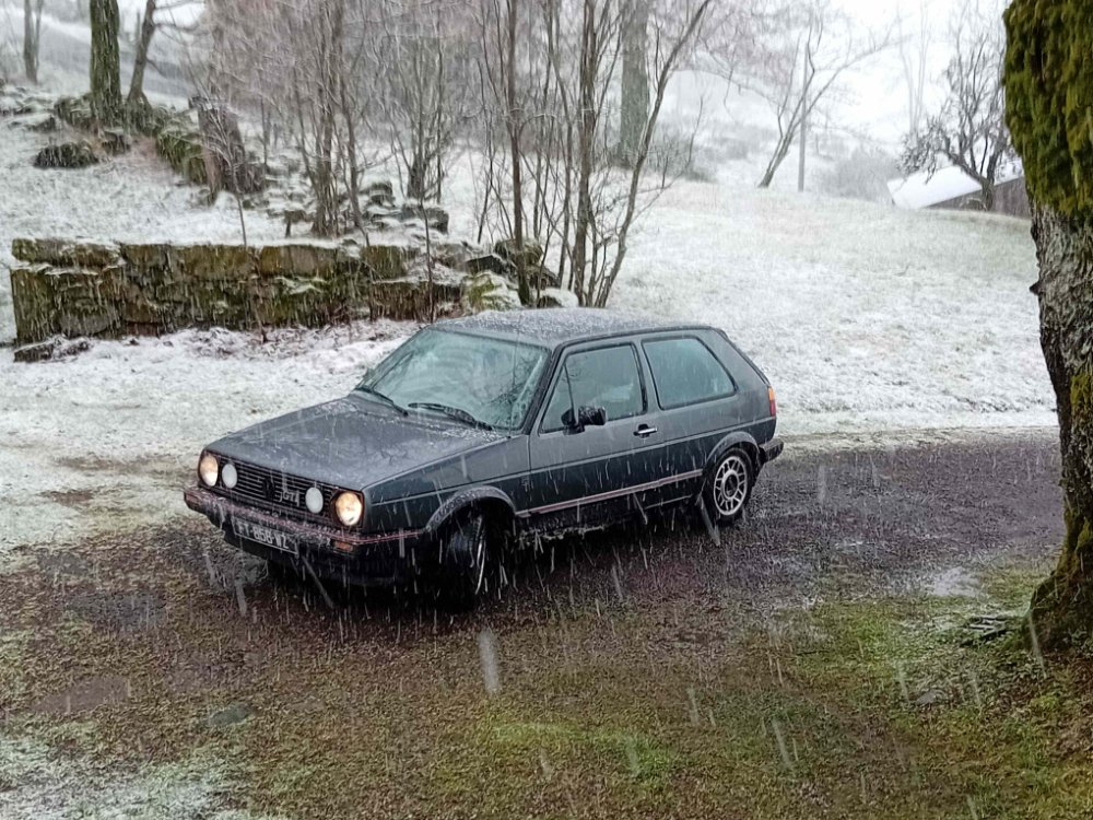 ma version de l'hivernage