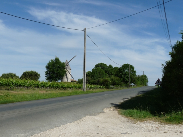 P1050160.JPG