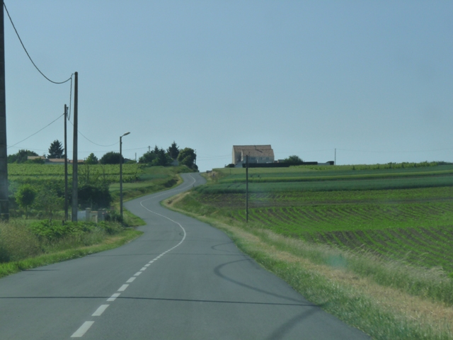 P1050174.JPG