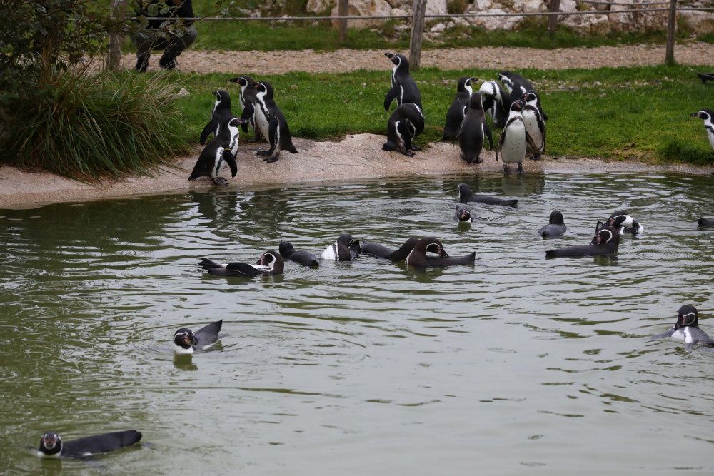 Image077.jpg