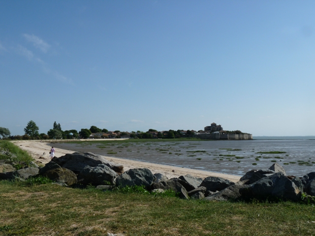 P1050175.JPG