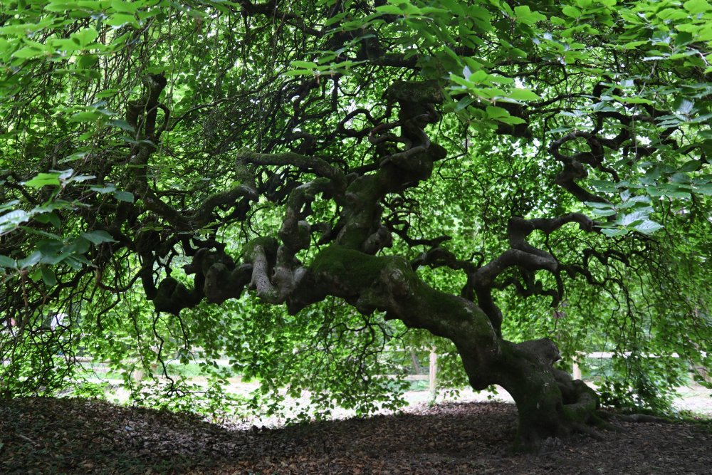 Image014.jpg