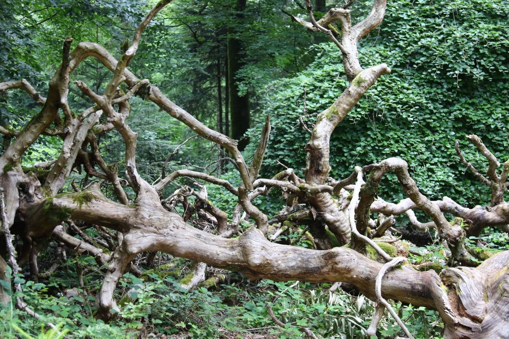 Image017.jpg