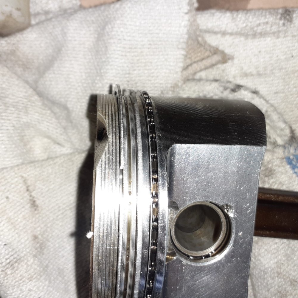 WhatsApp Image 2025-08-14 at 22.37.12.jpeg