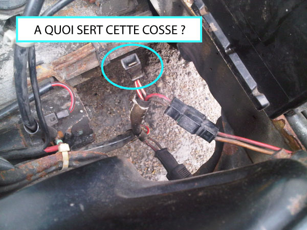 c'est quoi cette cosse?