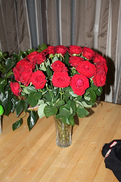 Les roses après près de 10h de voiture, merci Stéphanie pour la poche d'eau qui leur a permis de tenir !!!!