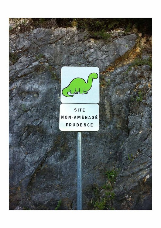 02 Empreintes de dinosaures - Coisiat 03.jpg