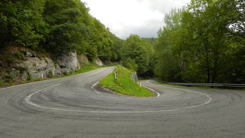 DSCN2273.jpg