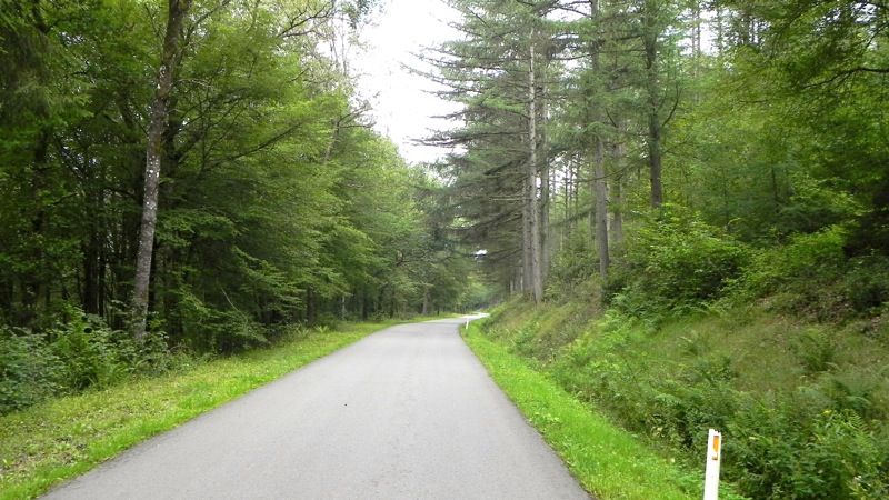 DSCN2276.jpg
