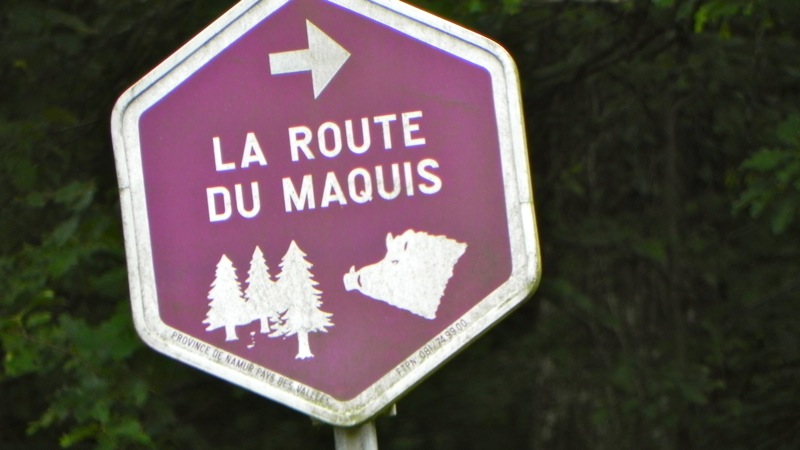 DSCN2290.jpg