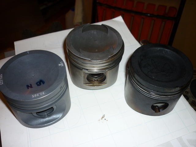 P1000244.JPG