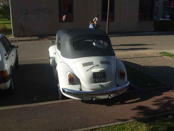 DSCF4082.JPG
