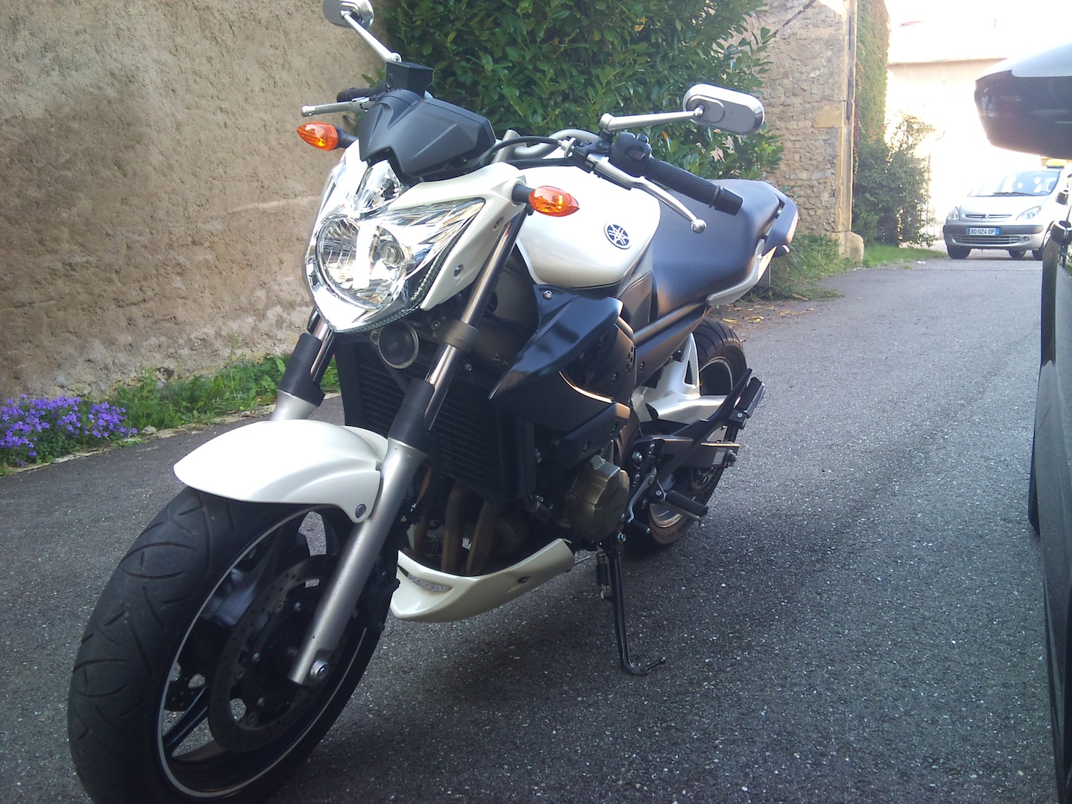 DSC_0209 - copie.jpg