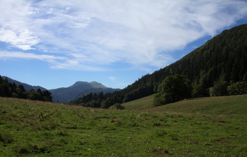 Des paysages tristes et monotones!