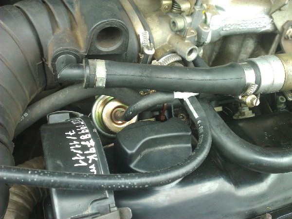 WP_000036 (Copier).jpg