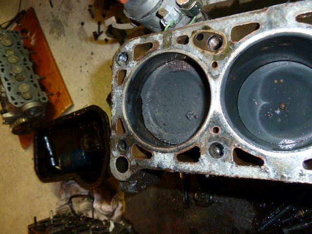 P1020401.jpg