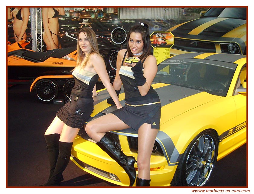 mustang.jpg