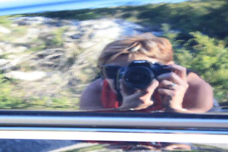 IMG_3352.jpg