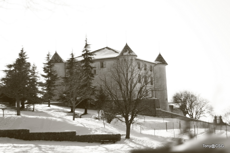 _MG_8841.JPG