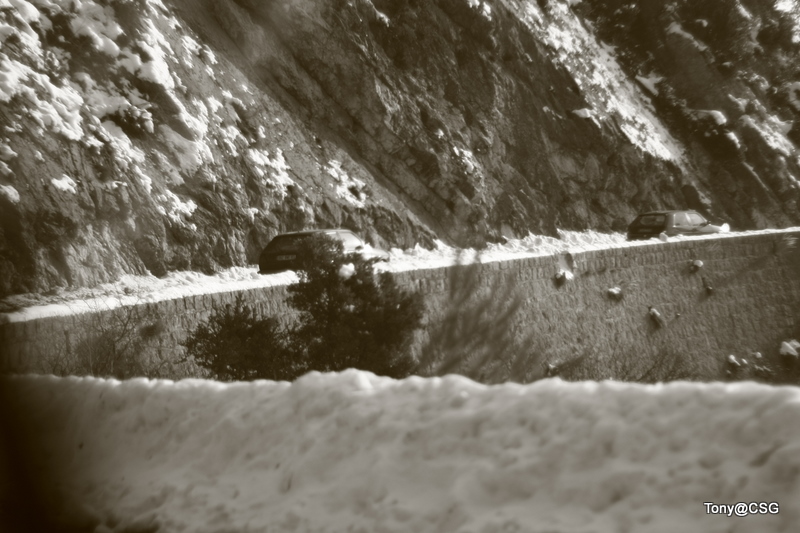 _MG_8847.JPG