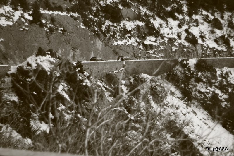 _MG_8858.JPG