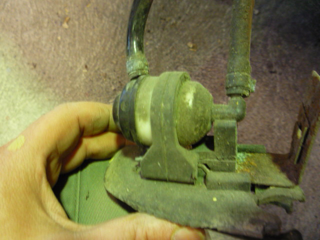 P1020280.JPG